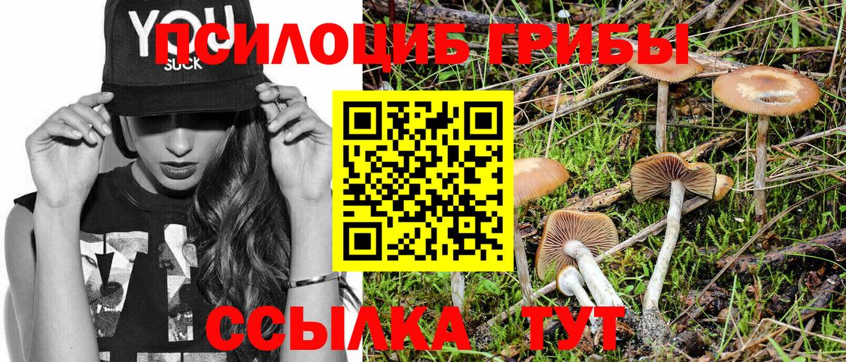 Псилоцибиновые грибы Psilocybine cubensis  Галлюциногенные грибы Magic Shrooms  Вход с VPN  Ейск 
