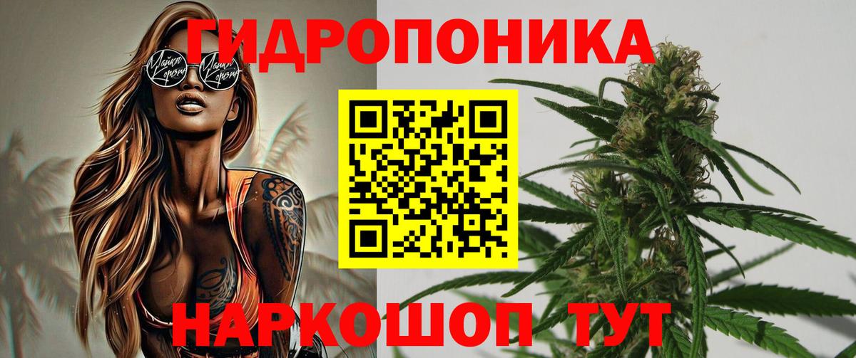 Бошки Шишки Amnesia Ейск